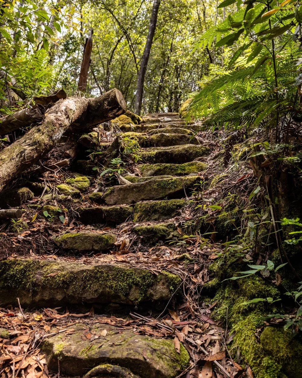 The secrets of Mannings Lookout: hidden waterfalls and lost viewpoints ...