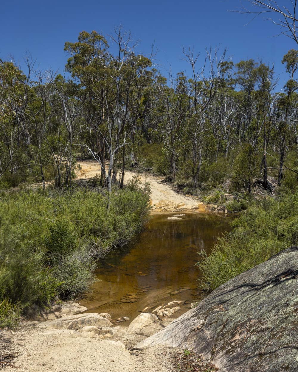 Crossing the creek to start the trail to Morong Falls
