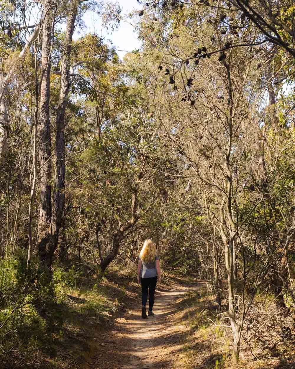 Engadine Falls Track