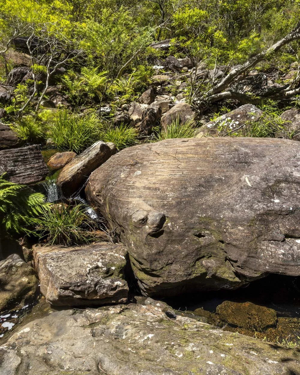 Boulder Crossing to Scouts Falls