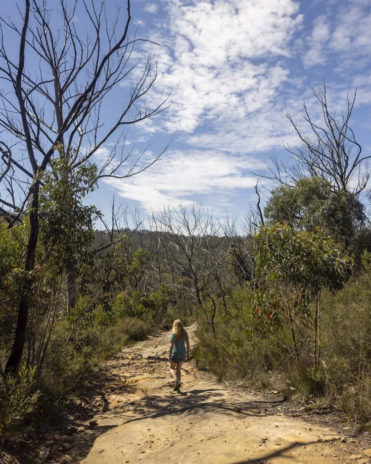 Clarence Dam an easy access wild swimming and cliff jumping spot in the Blue Mountains — Walk