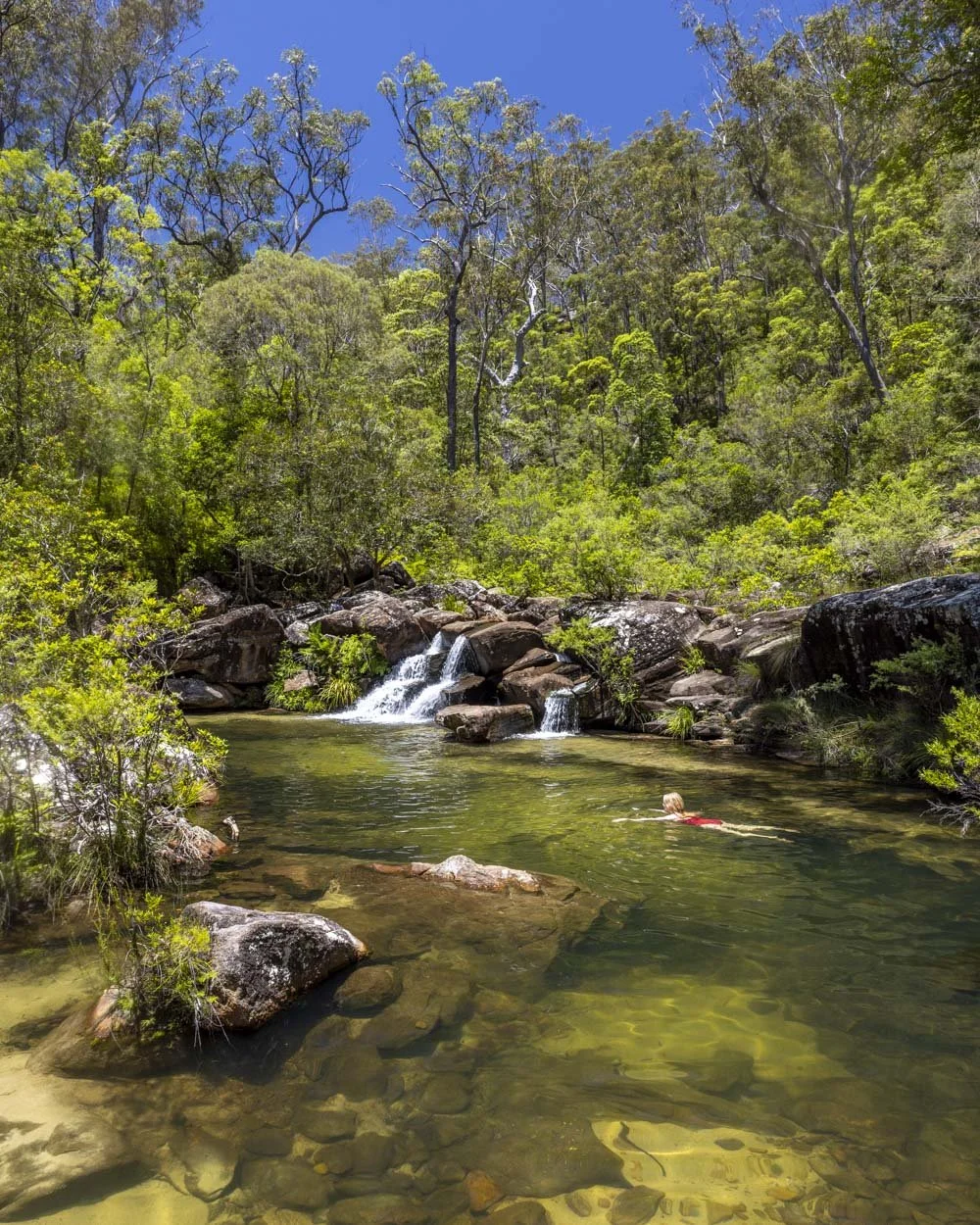 The first falls at Scouts Falls