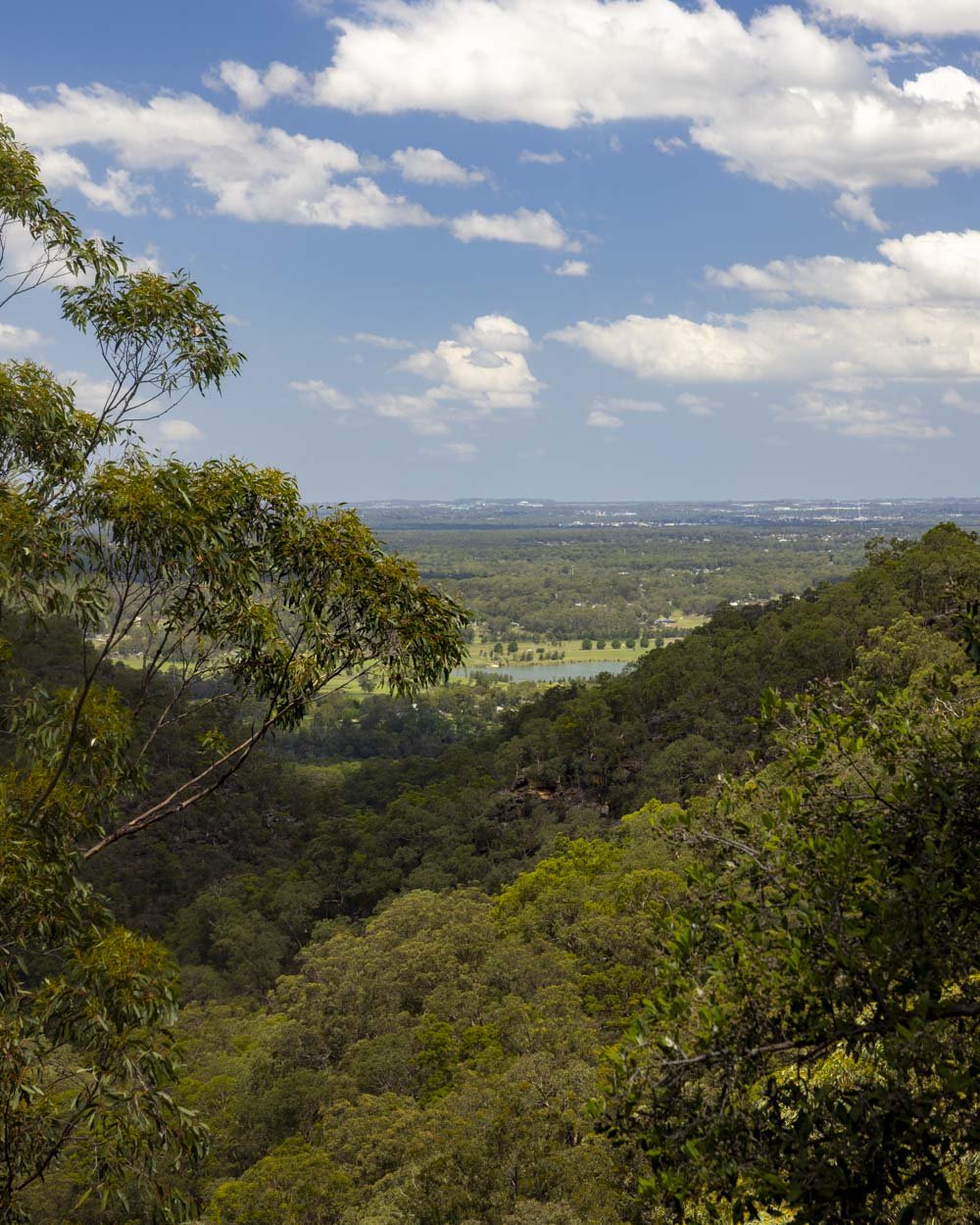 The rocky outcrop in Springwood