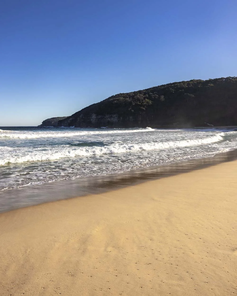 Steamers Beach a wild & secluded beach in Jervis Bay — Walk My World