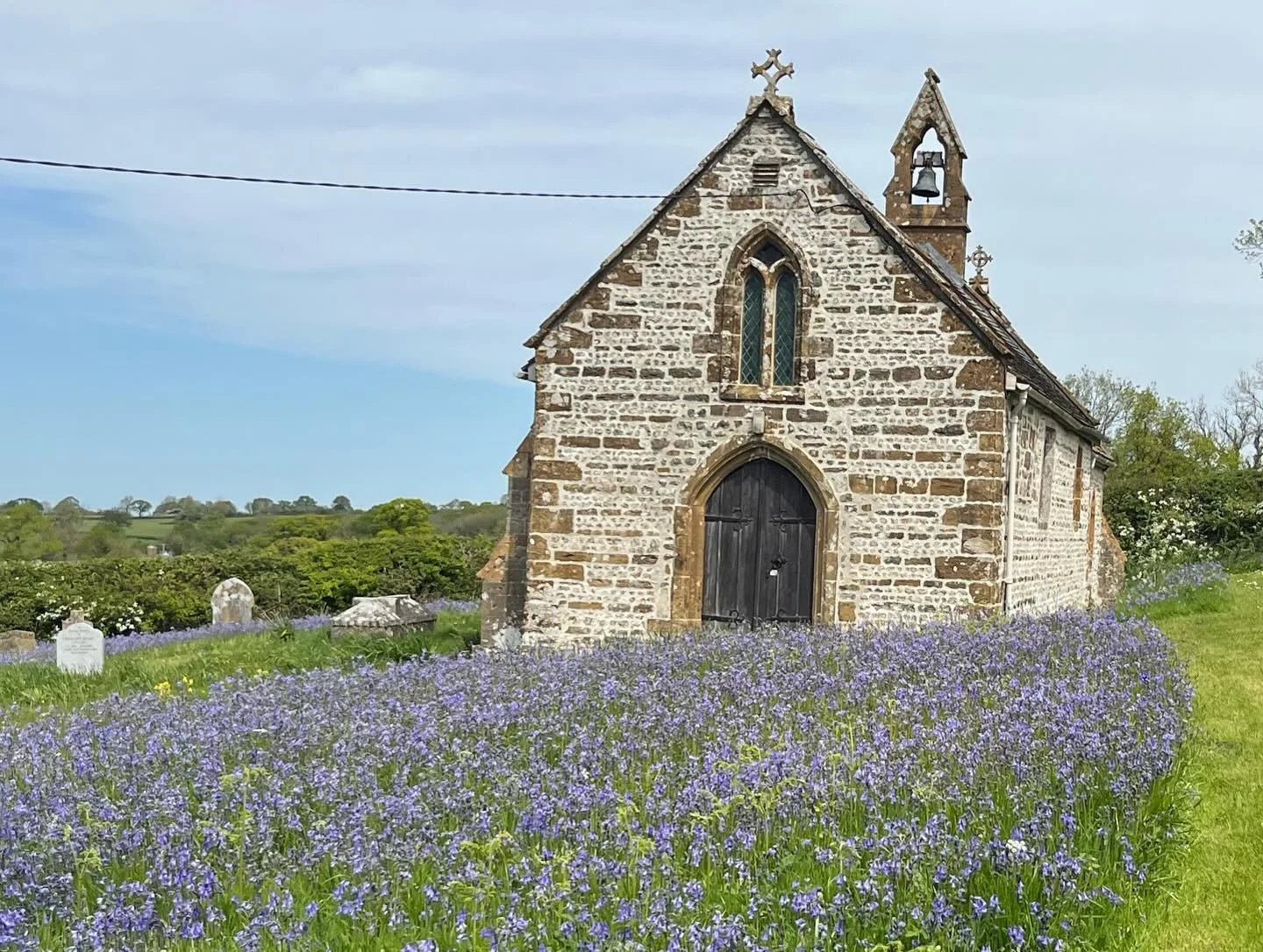 Visited the lovely church we repointed in lime last year - looking great after a very wet winter #lime #stonework #dorset #church #bluebells