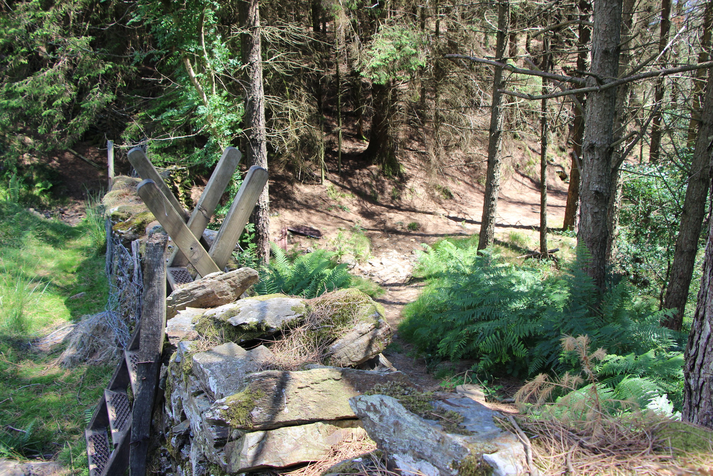 Stile on New Precipice Walk