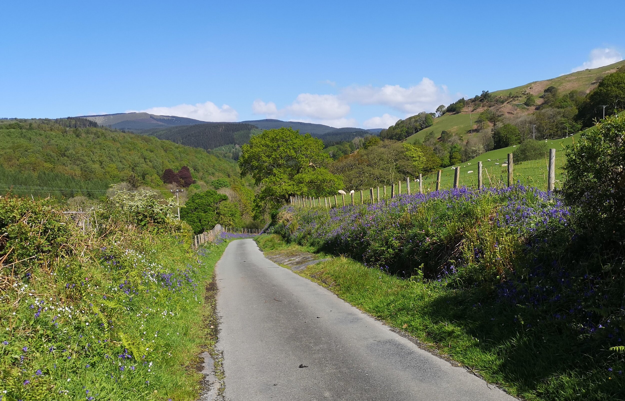 The Snowdonia Way