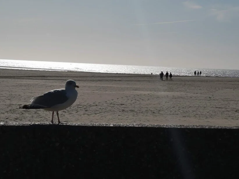 10+ Things to do when on a low budget holiday