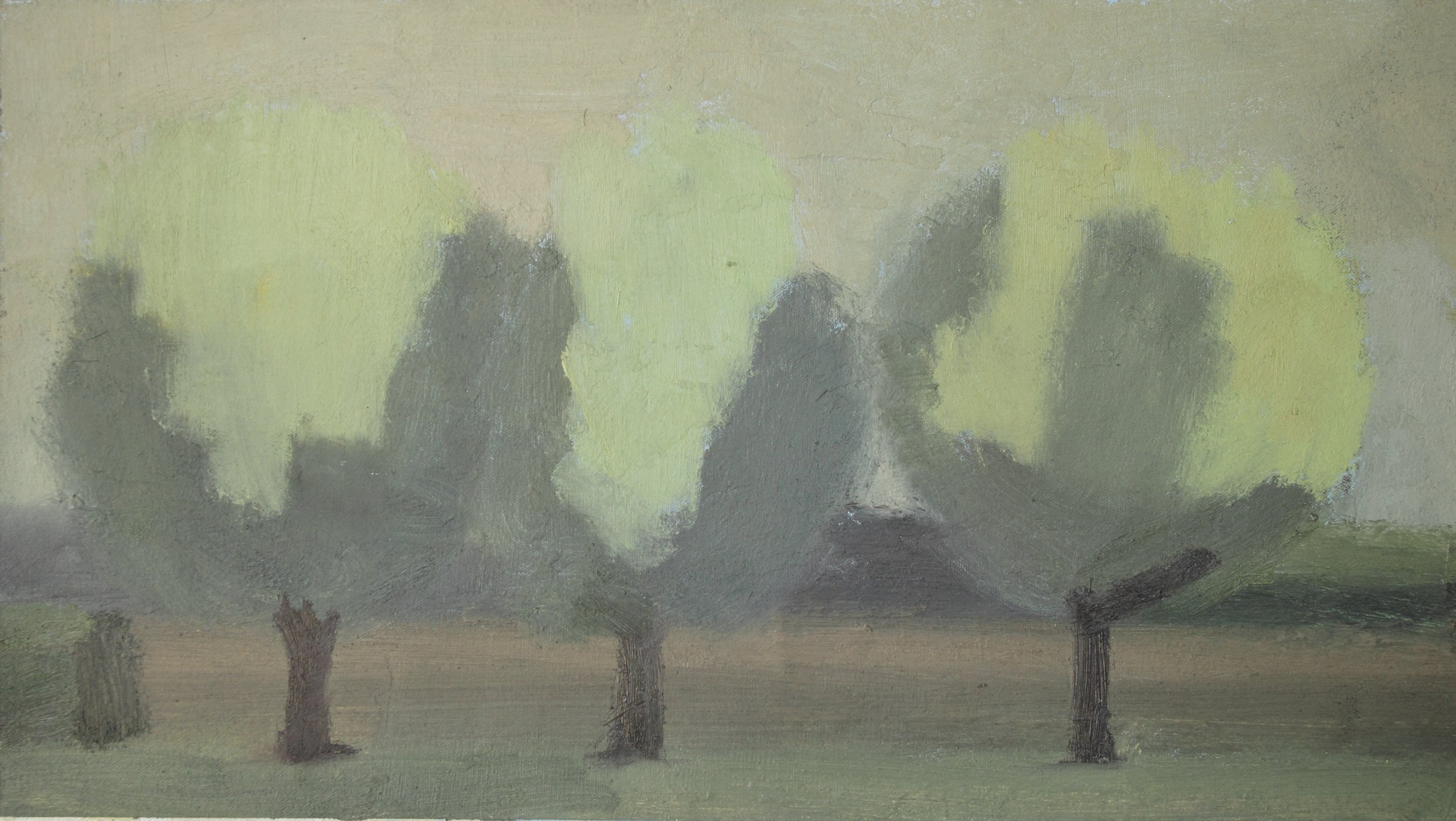 Three Sunlit Trees