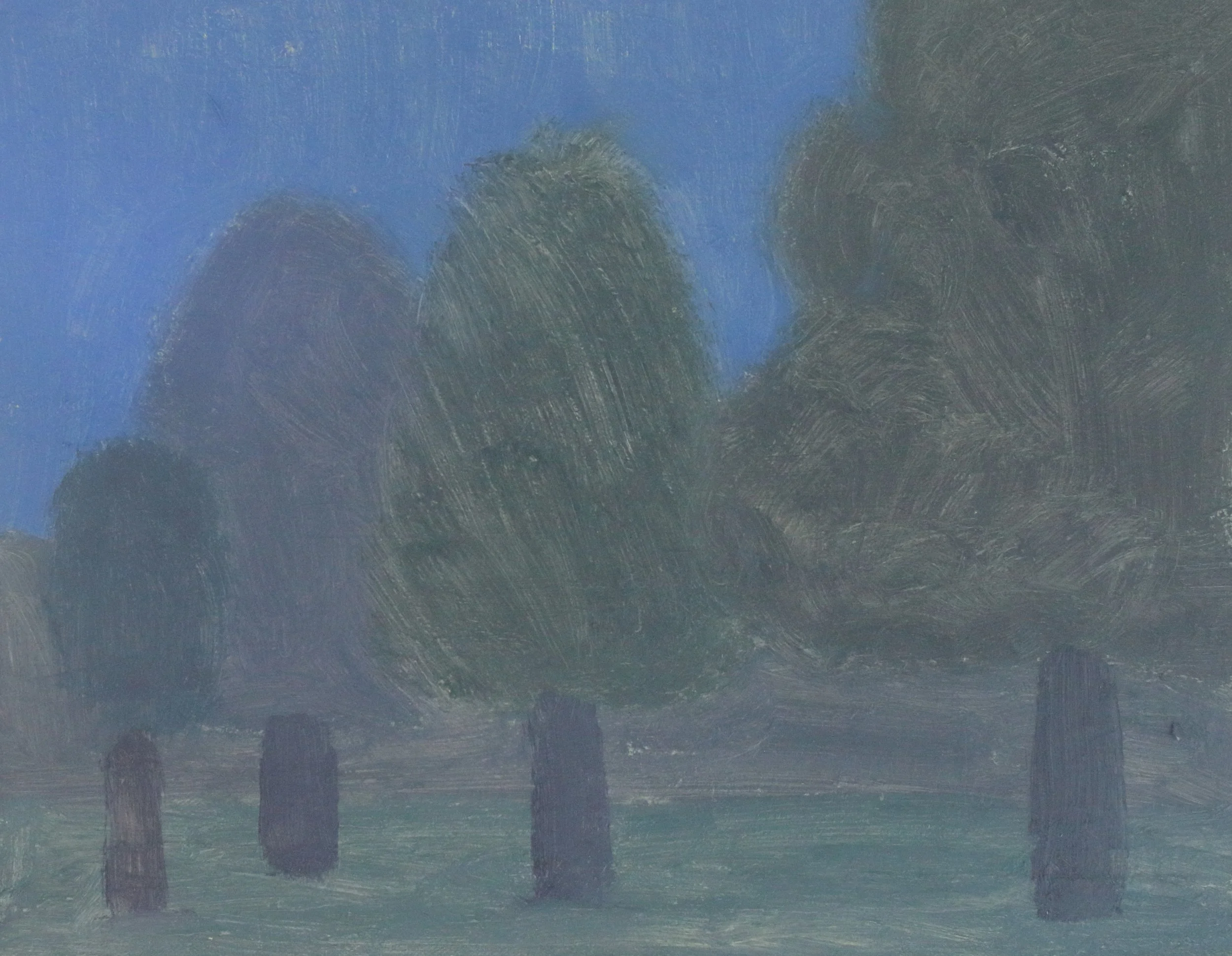 Trees at Night