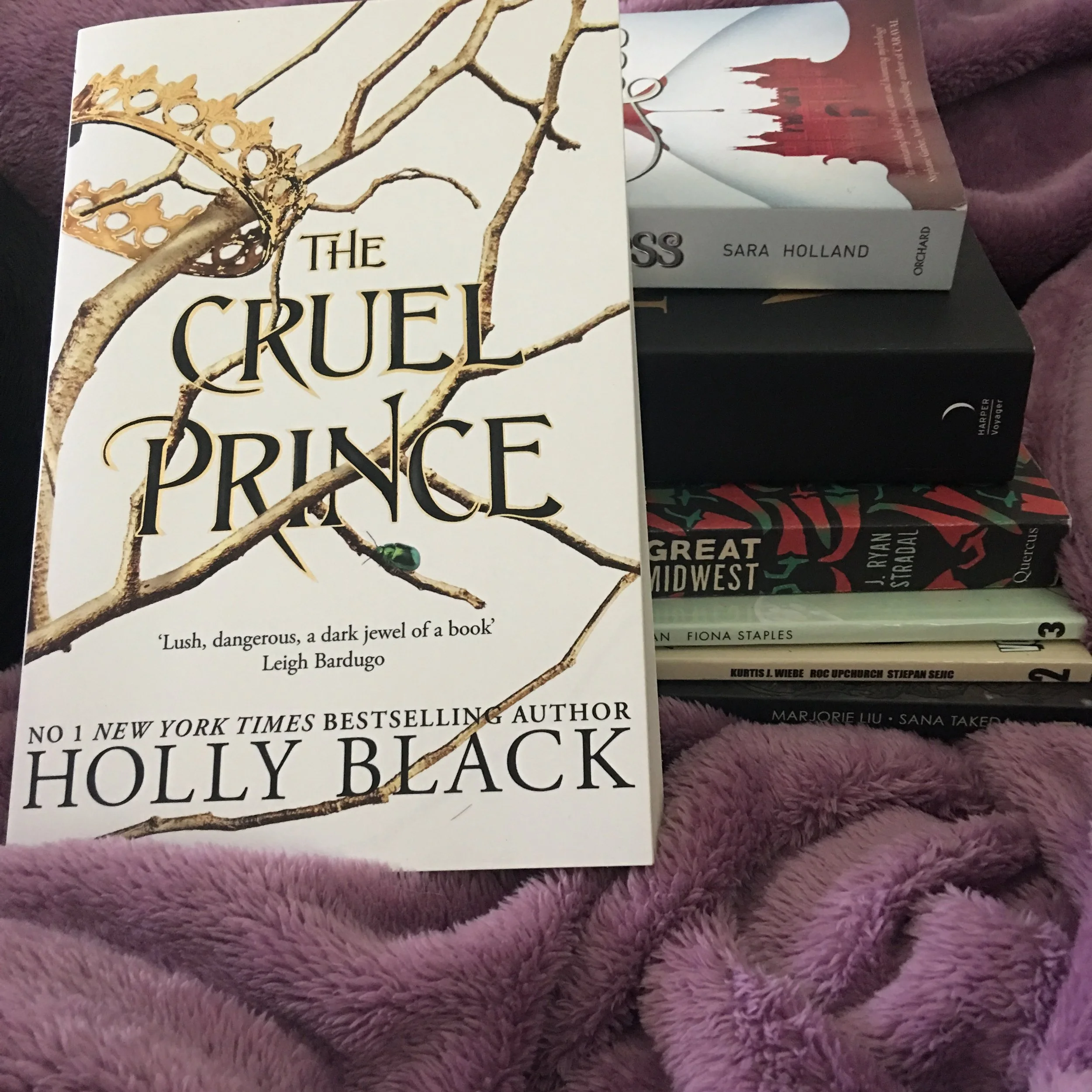 The Cruel Prince, a Jan YA Book Club Pick