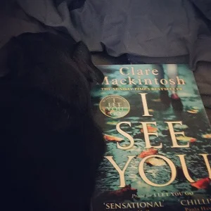 I see you.jpg
