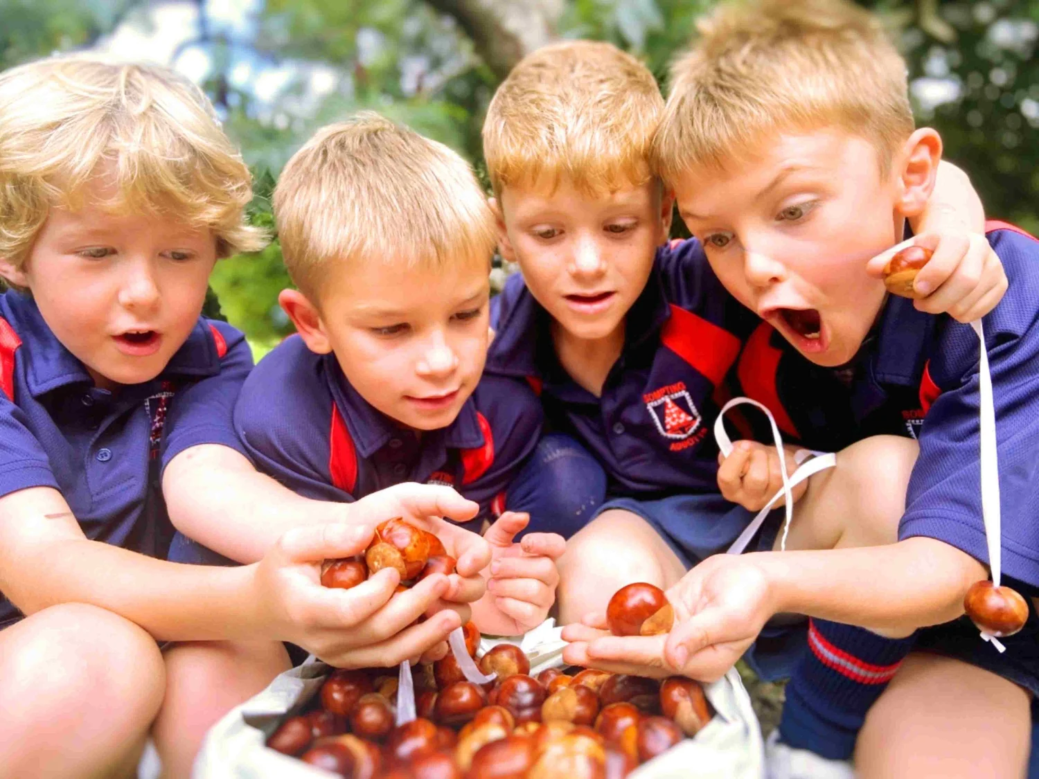 Conkers and golden moments: an autumnal tradition at Sompting Abbotts ...