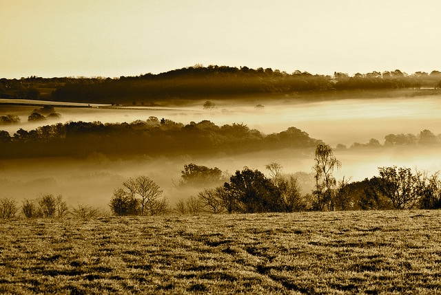 “Ginger, too, is staring out of the window, and I know that he is trying to pick out the villages and farms, the coppice-clad hills and valleys that were signposts to school.” Image courtesy of Fraser Elliott