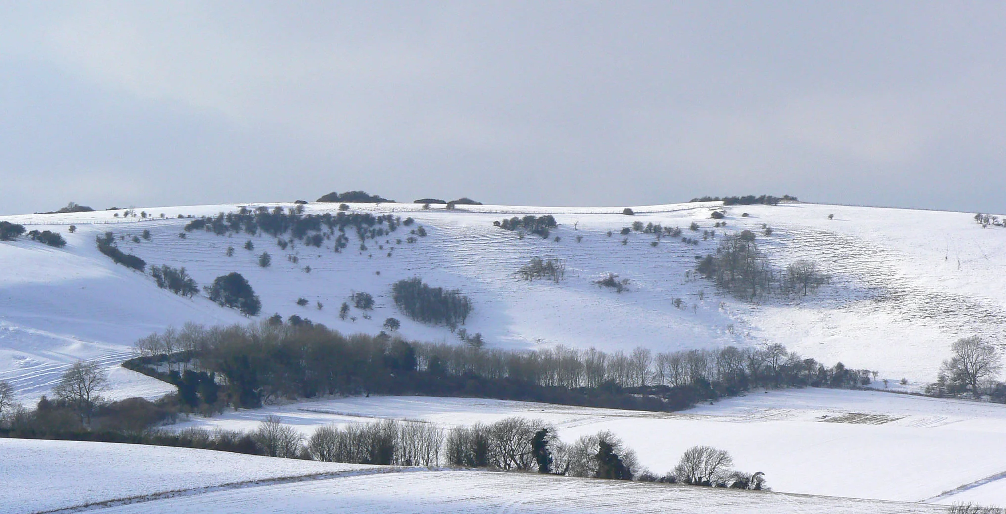 snow on the downs.jpg