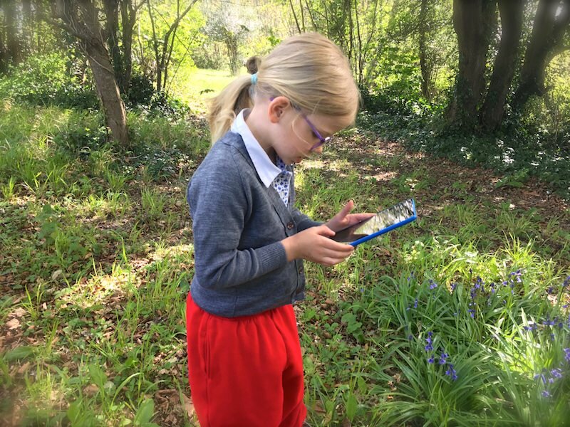 ipad in the woods at sompting abbotts.jpg
