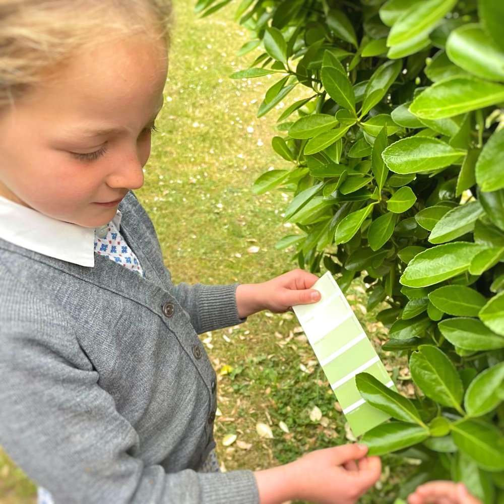 matching green to nature pre-prep sompting abbotts (2).jpg