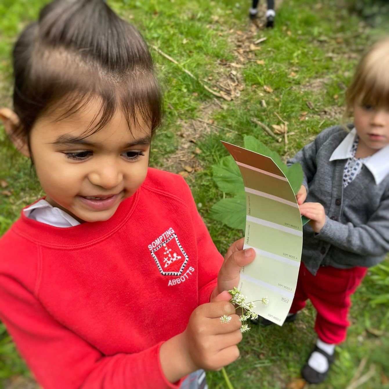 matching green to nature pre-prep sompting abbotts.jpg