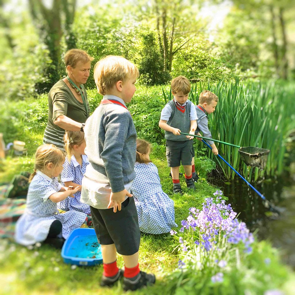 pond dip lesson at sompting abbotts.jpg