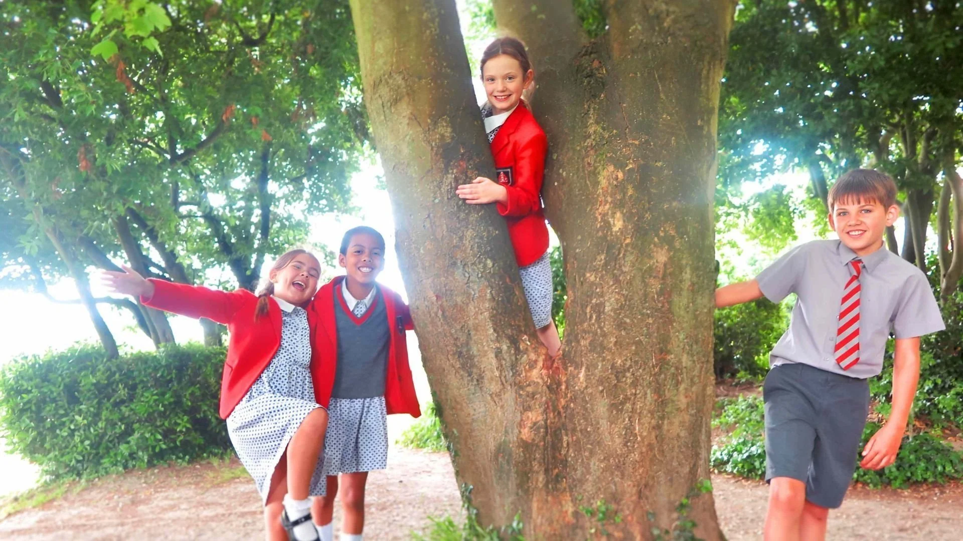 sompting+abbotts+pupil+tree+shot.jpg
