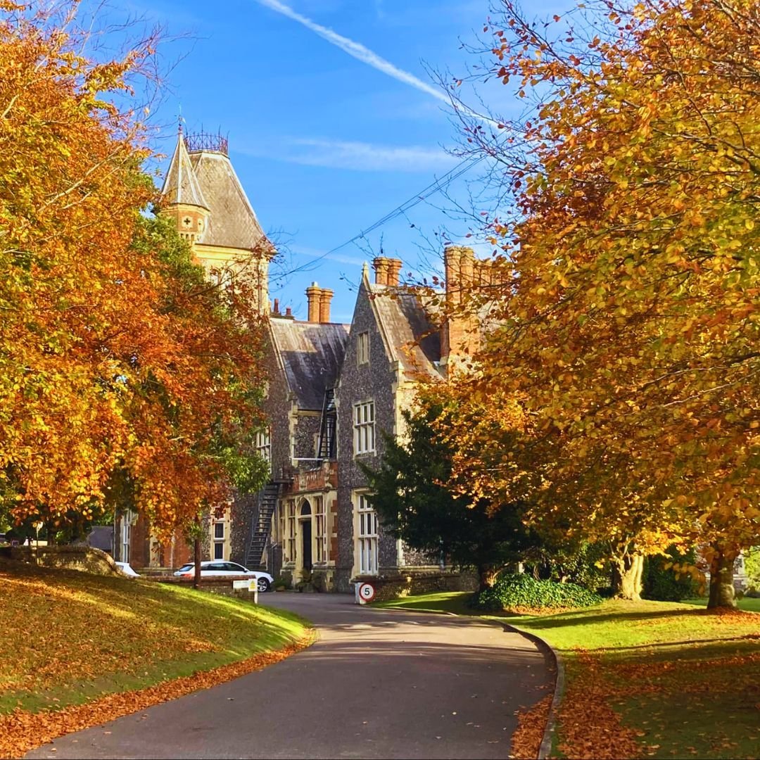 🍂 A Stunning Autumn at Sompting Abbotts 🍂

The beech trees along Abbotts Walk are at their most beautiful right now, displaying breathtaking autumn colours. These trees were planted in 1988 by our late headmaster, Tim Sinclair, after the Great Stor