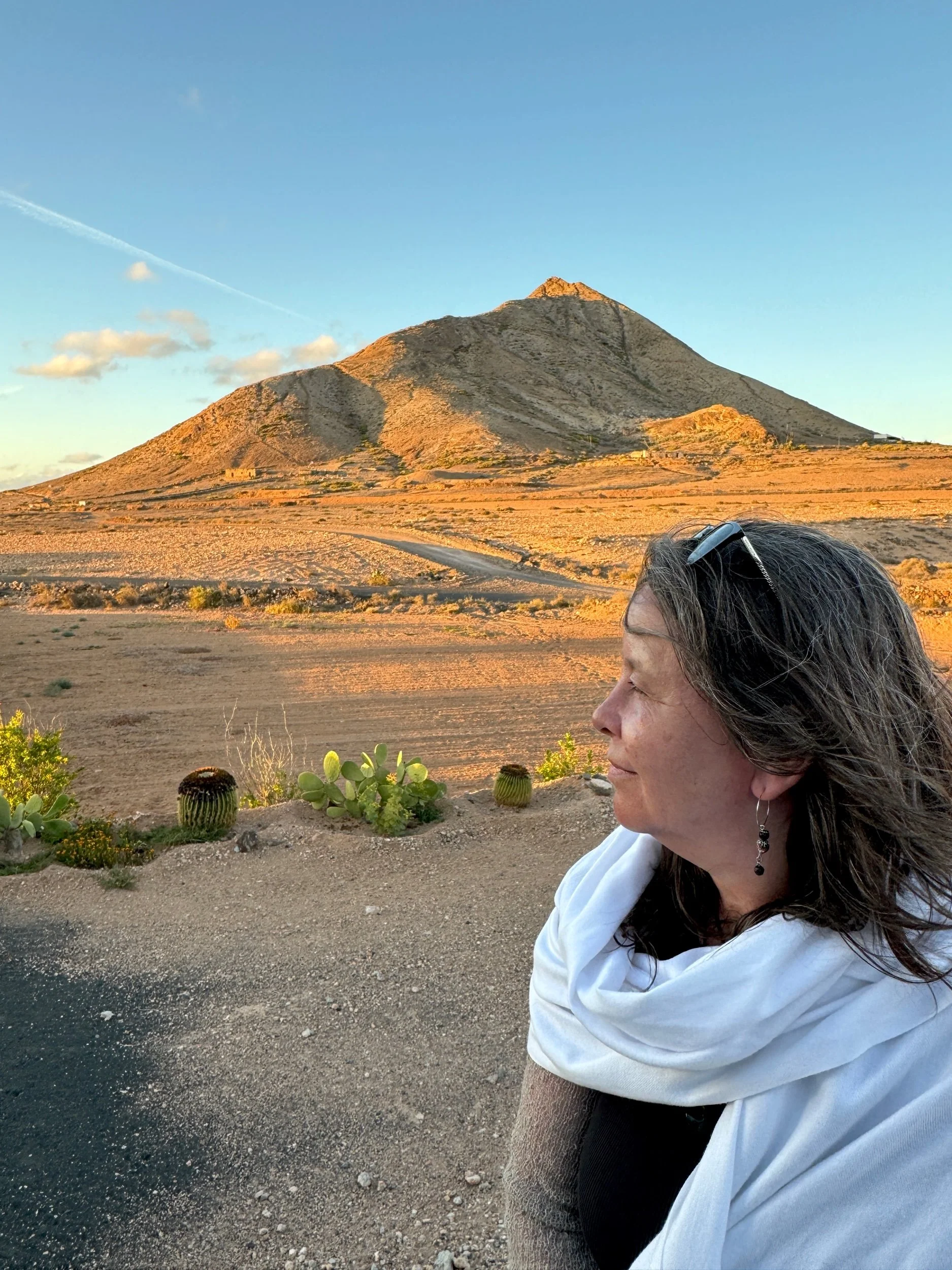 The Sacred Mountain 