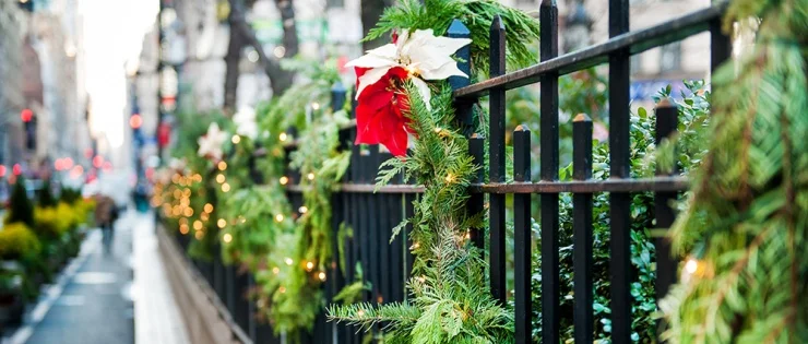 holiday-decorations_166545395_1000px.jpg