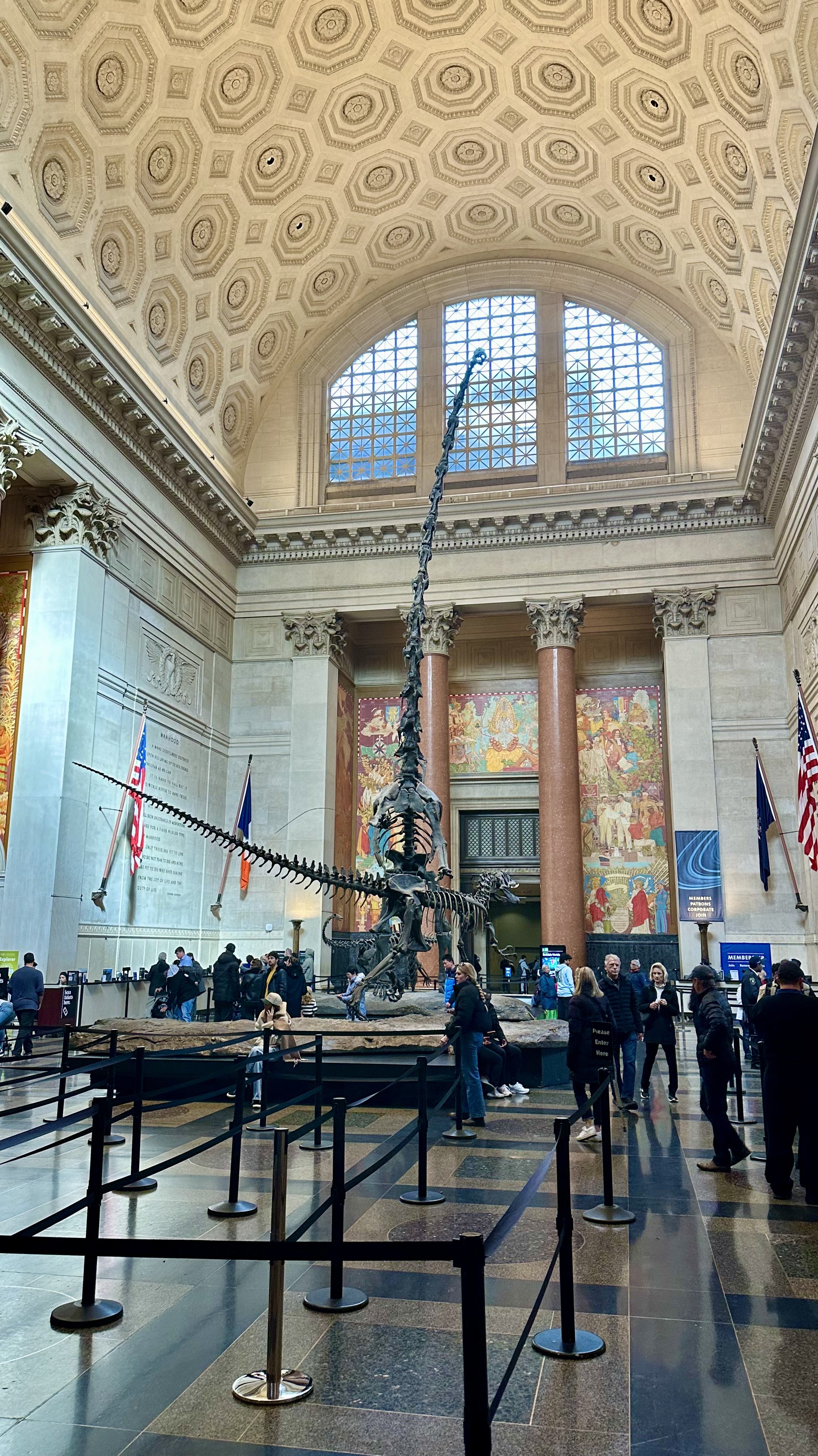 IMG_4023.jpeg