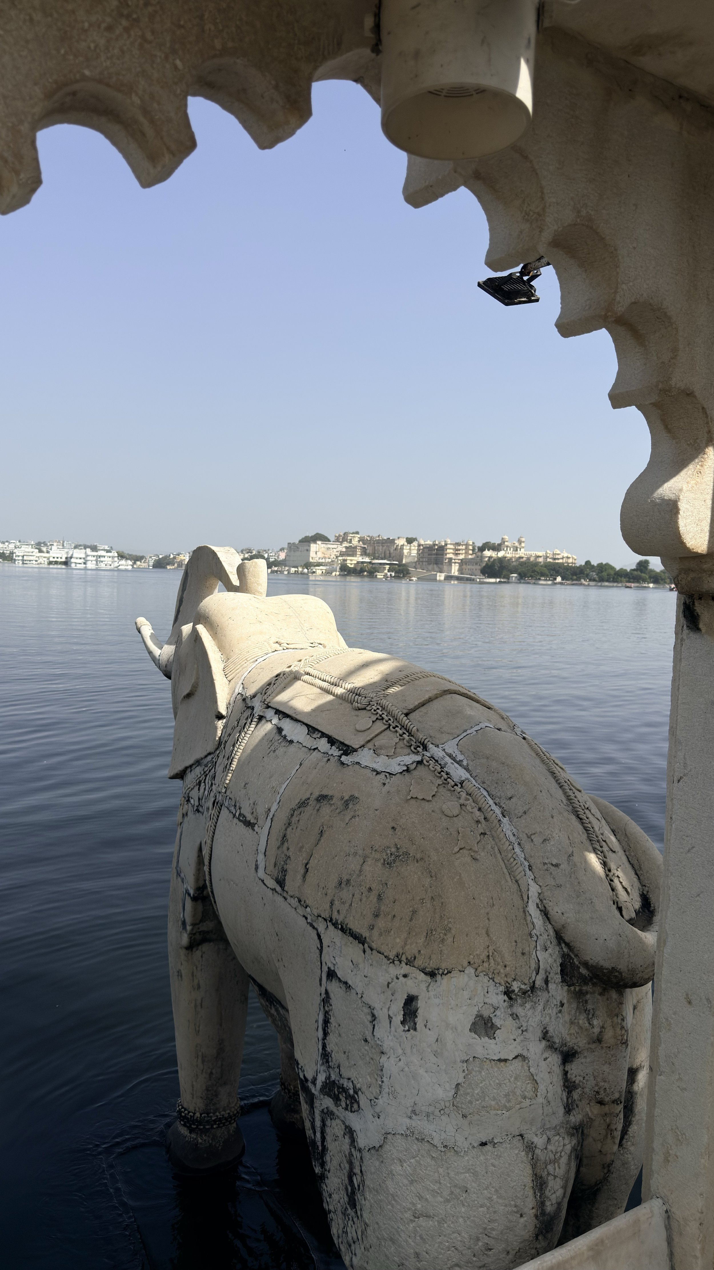 IMG_2312.jpeg