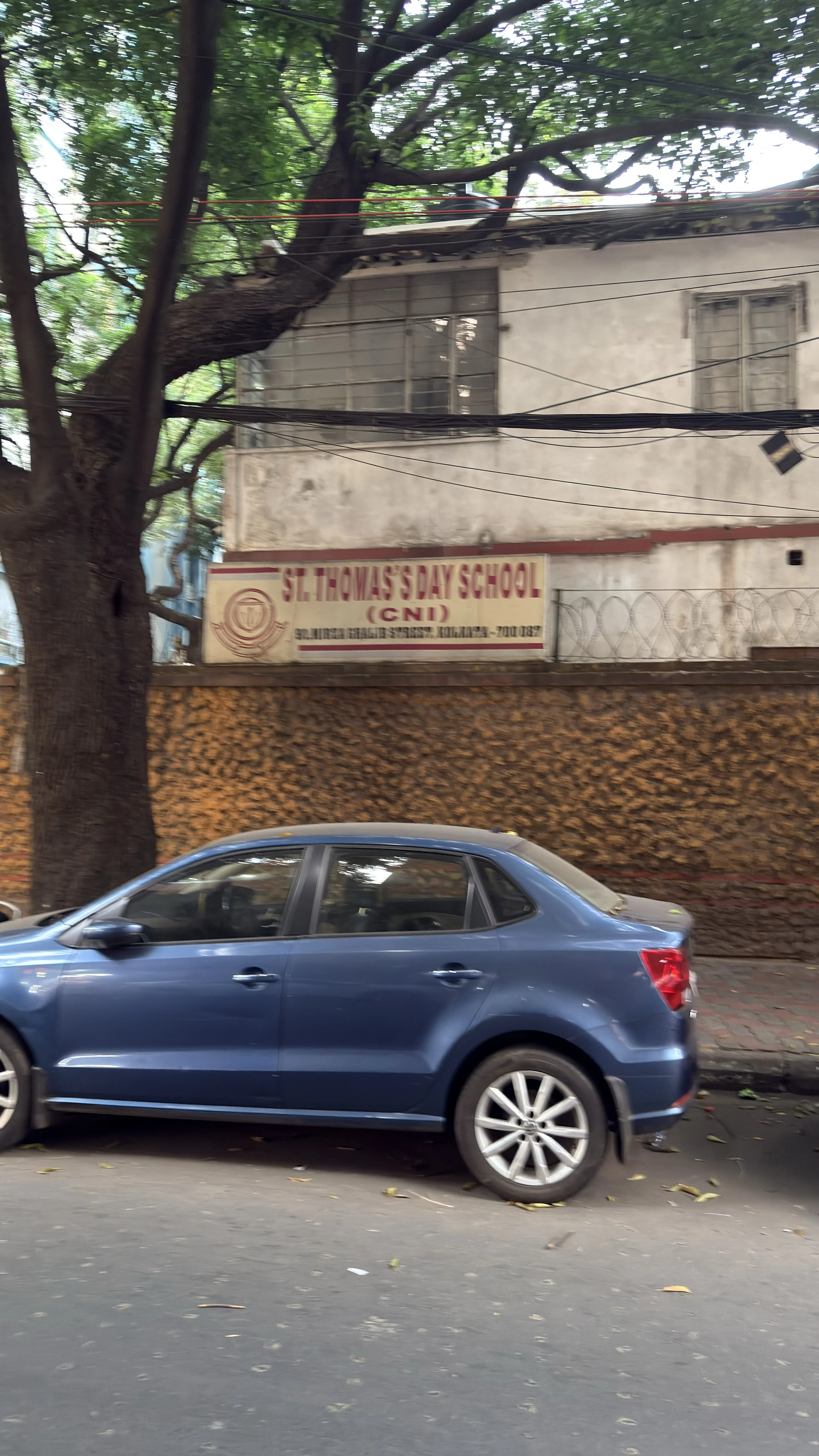 IMG_2908.jpeg