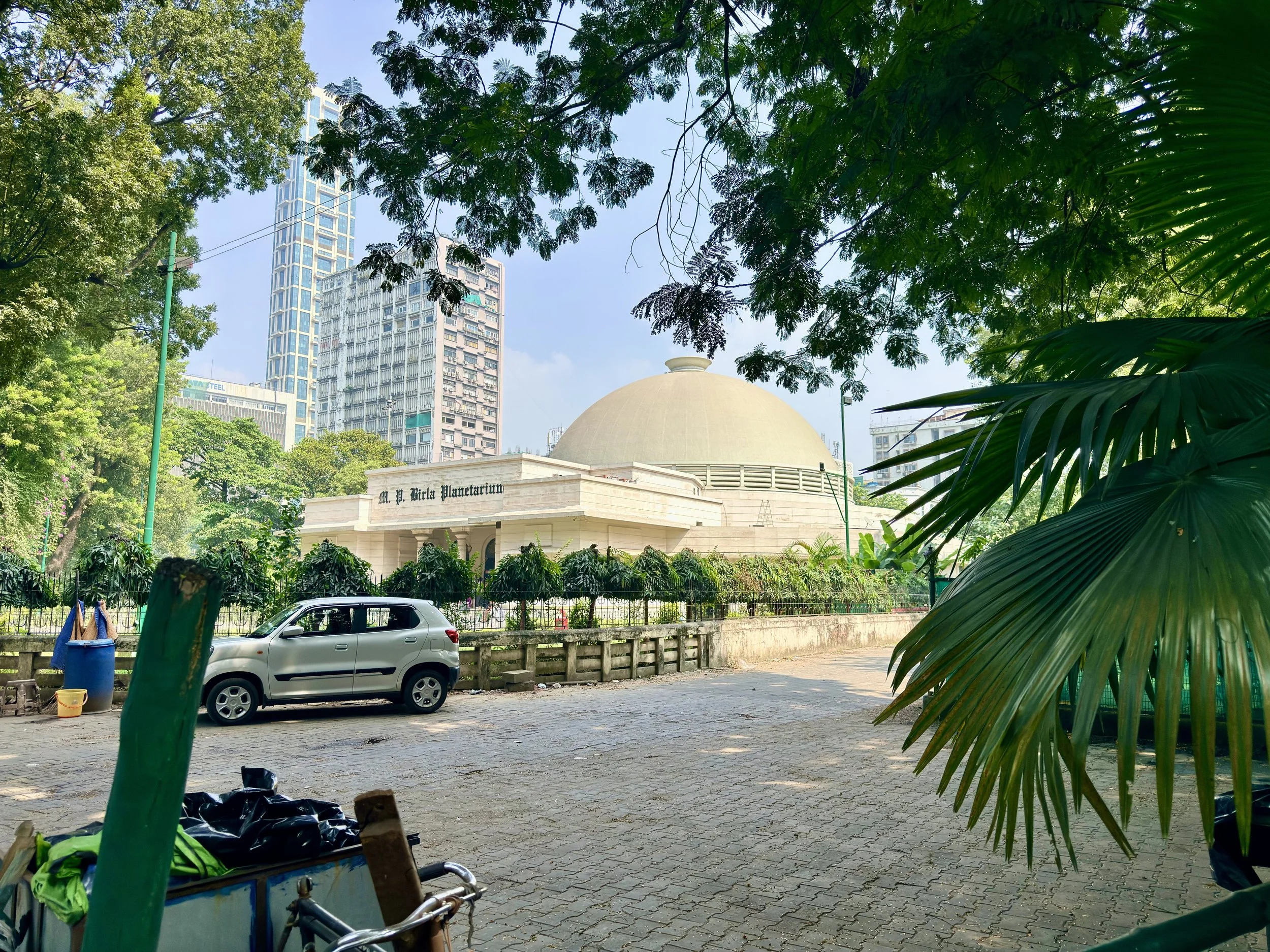 IMG_3320.jpeg