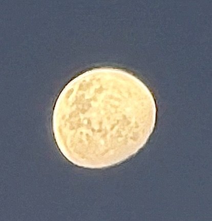 IMG_5756.jpeg