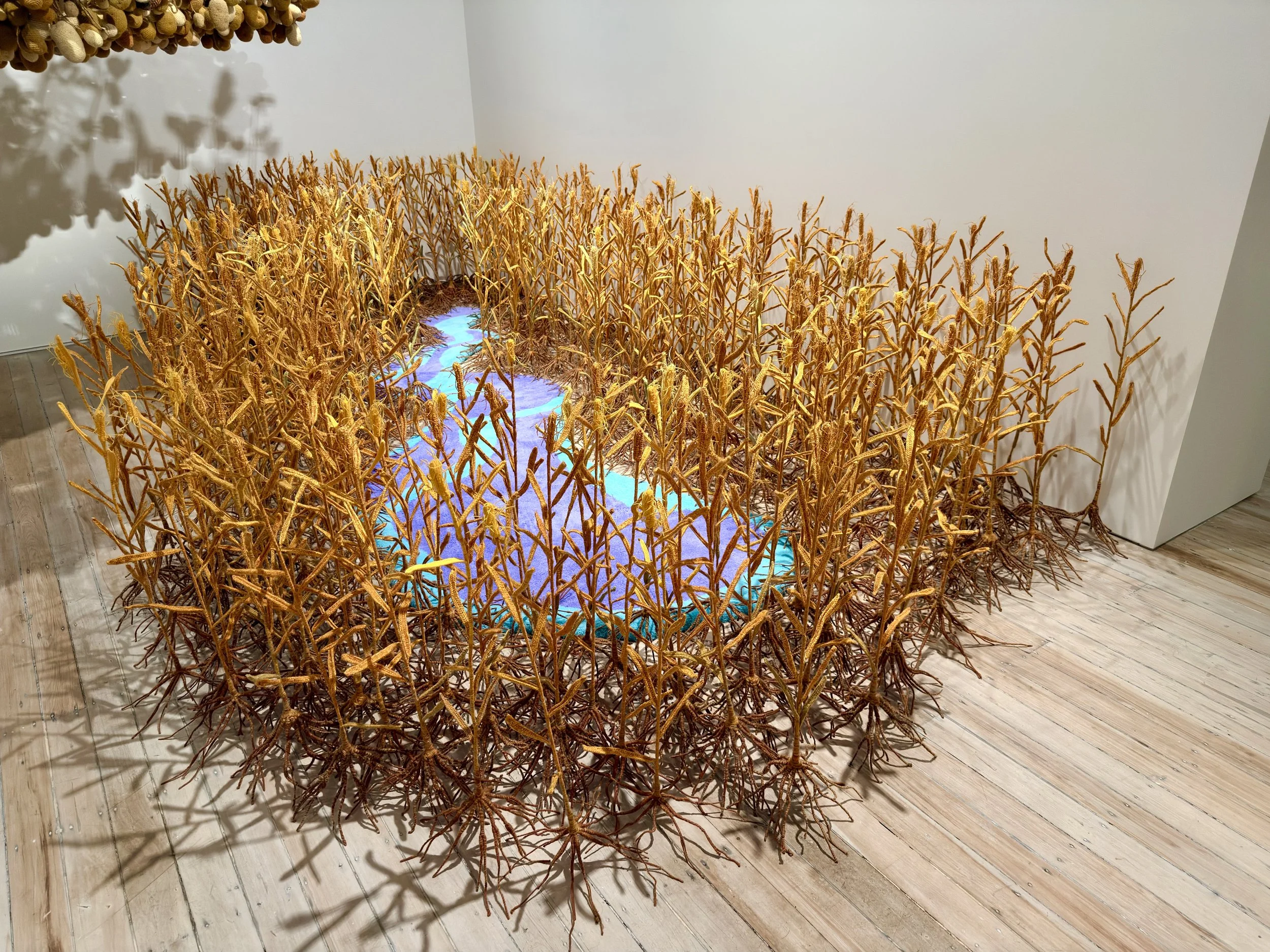 IMG_8297.jpeg