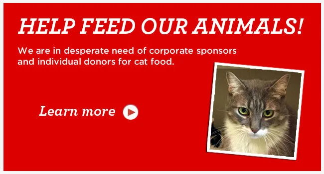 Help Feed Our Animals.jpg