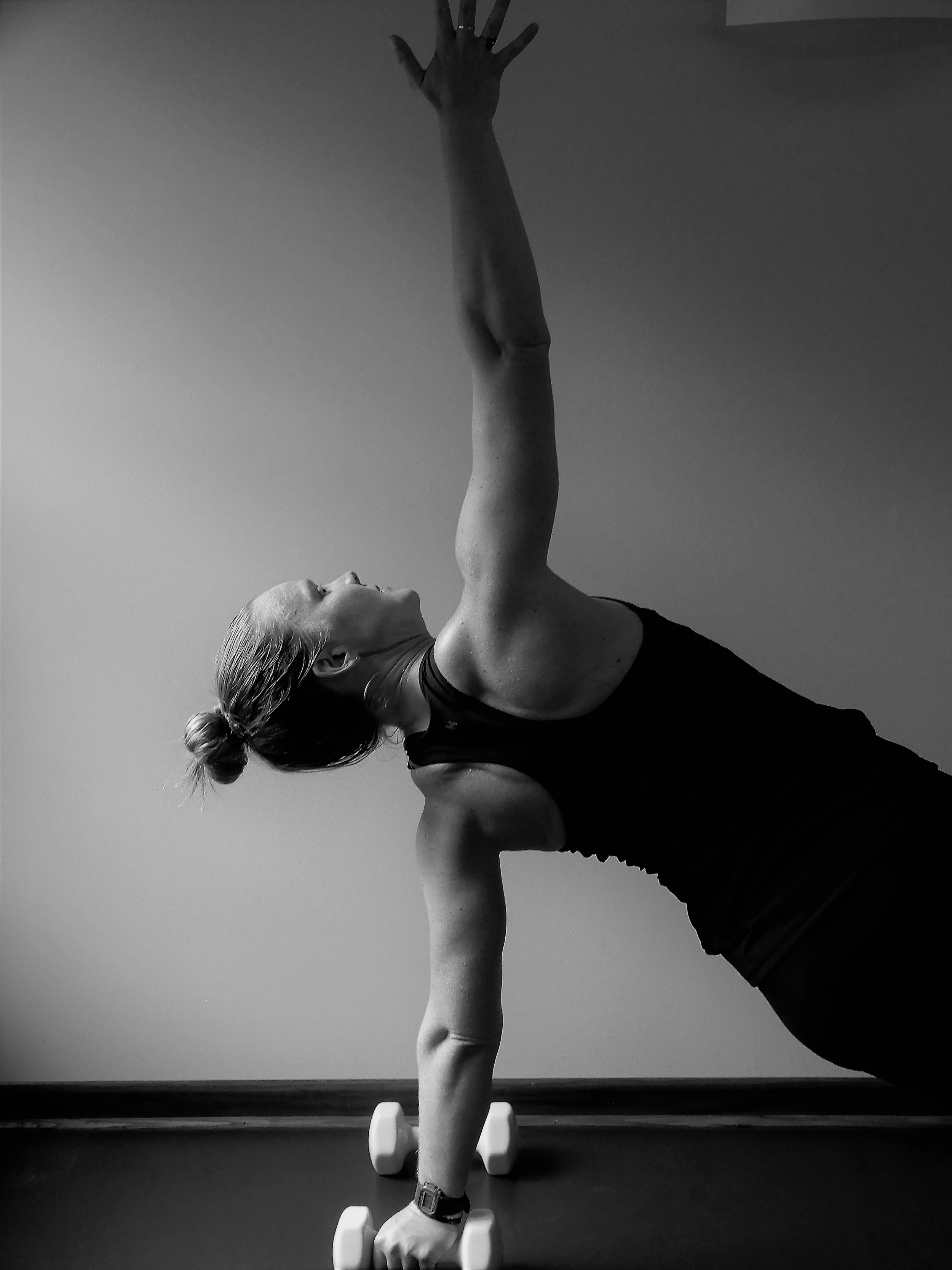 side plank vanilla.jpg