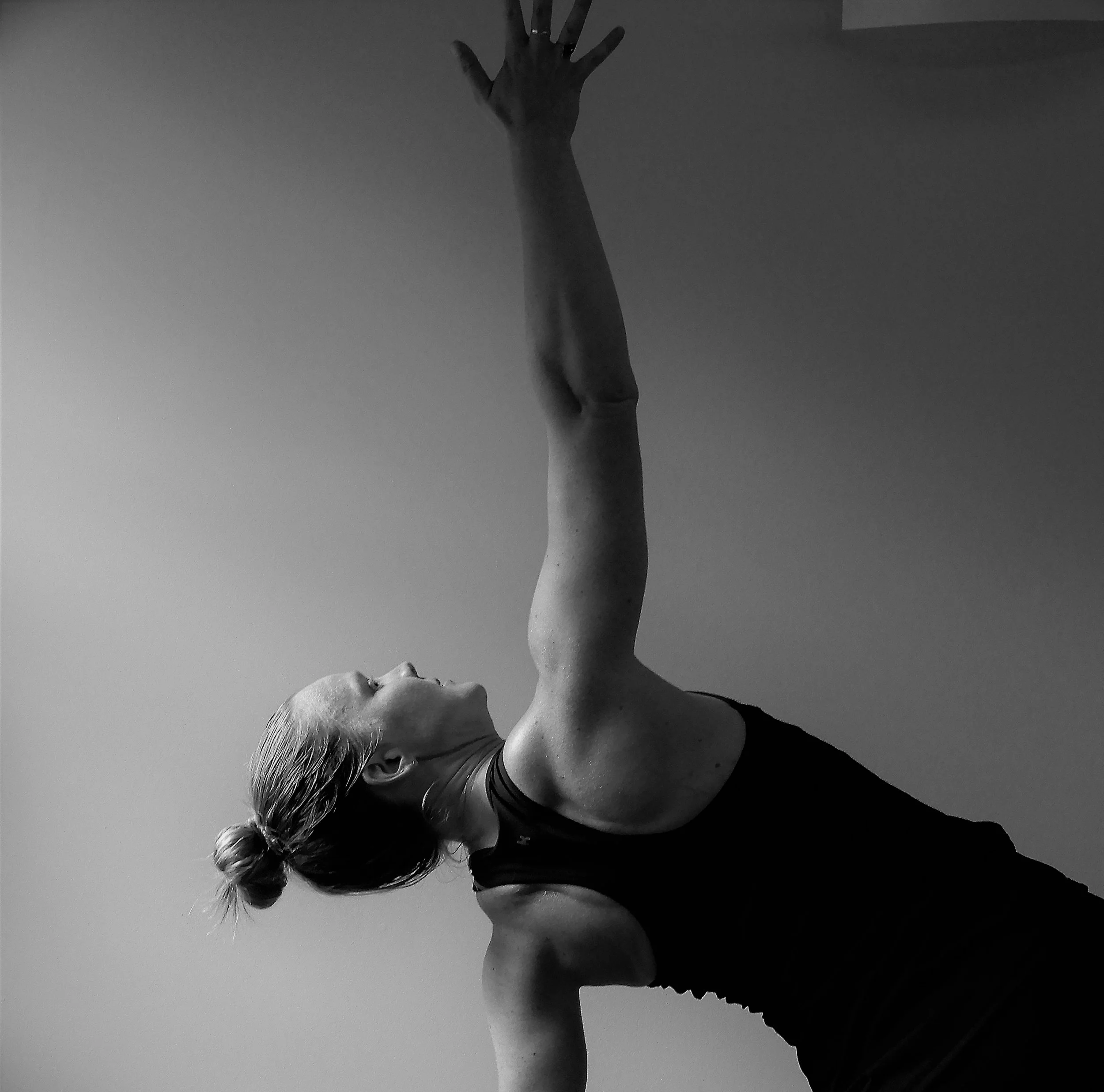 side plank vanilla.jpg