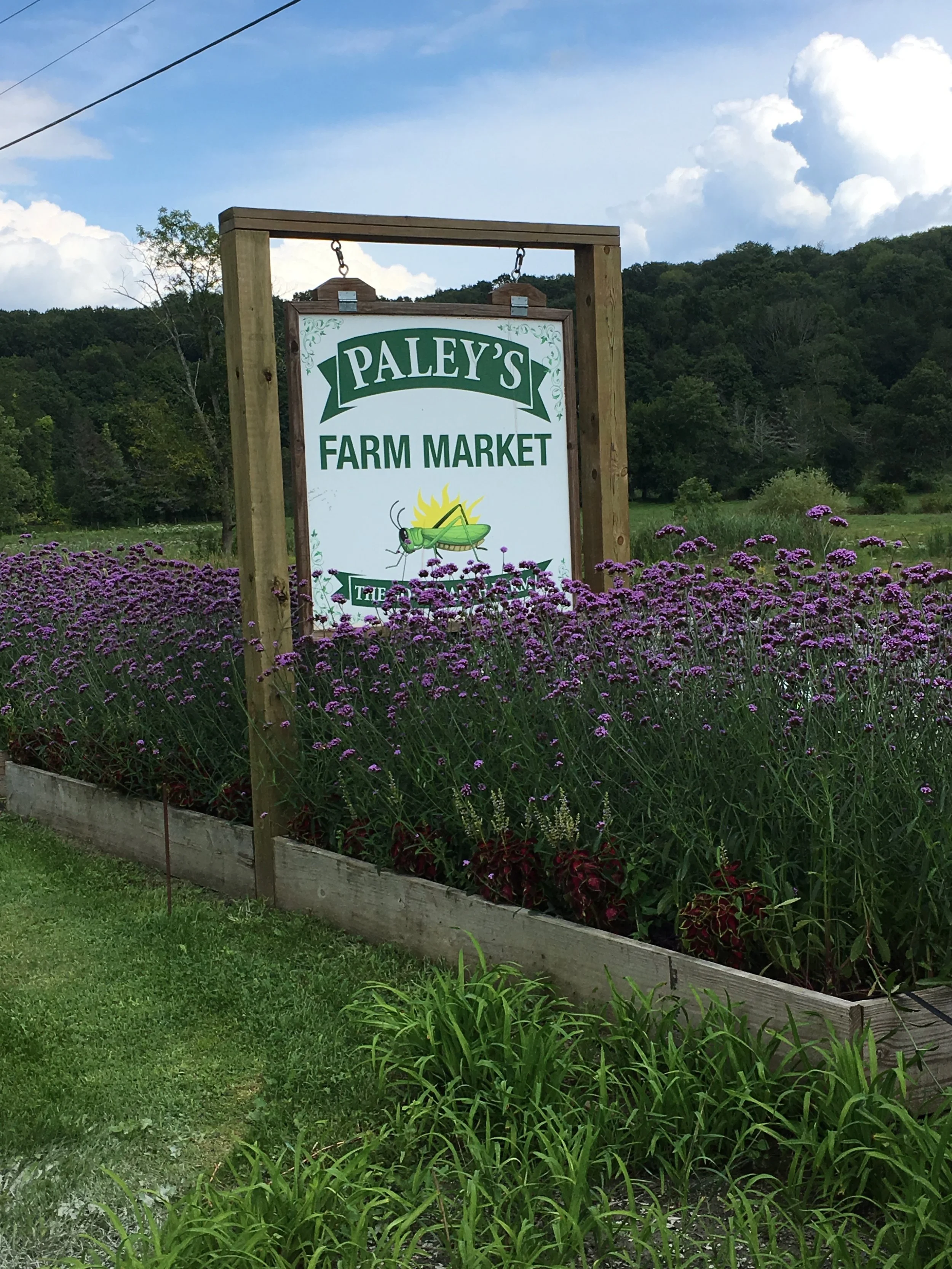 Grumbling Gryphons and Tomato Pie!