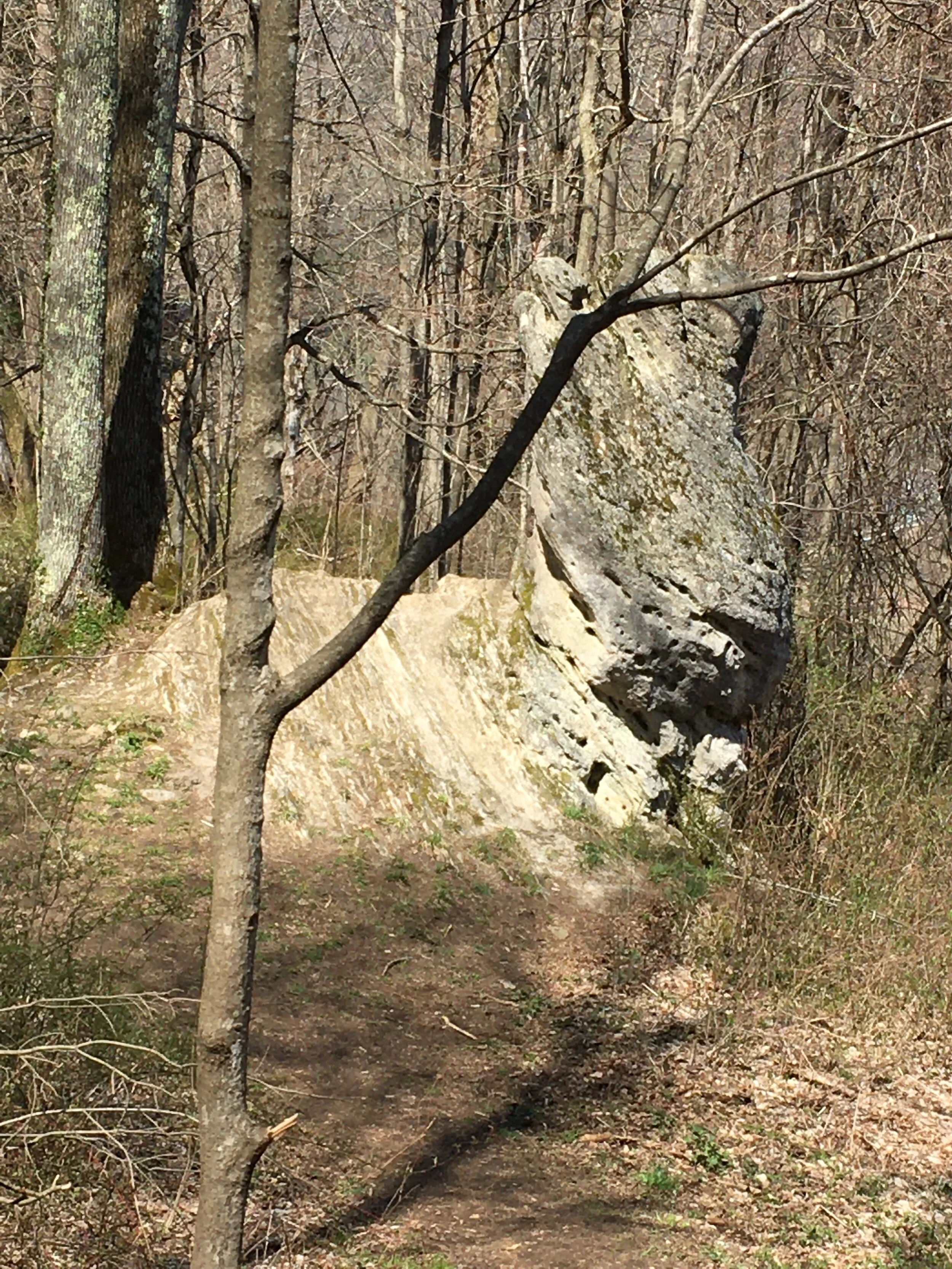 Serendipity in Flushing