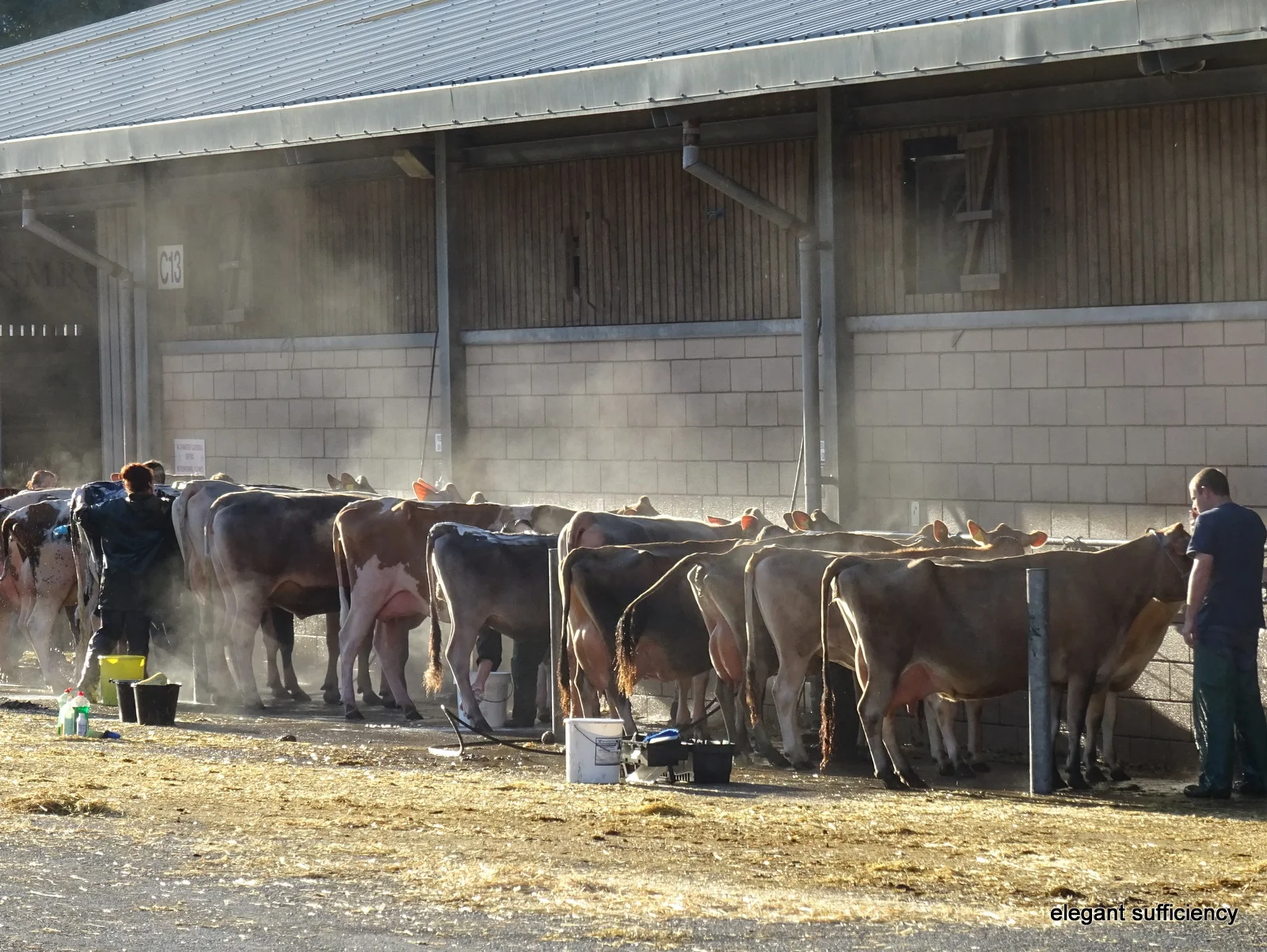 Whatever the weather