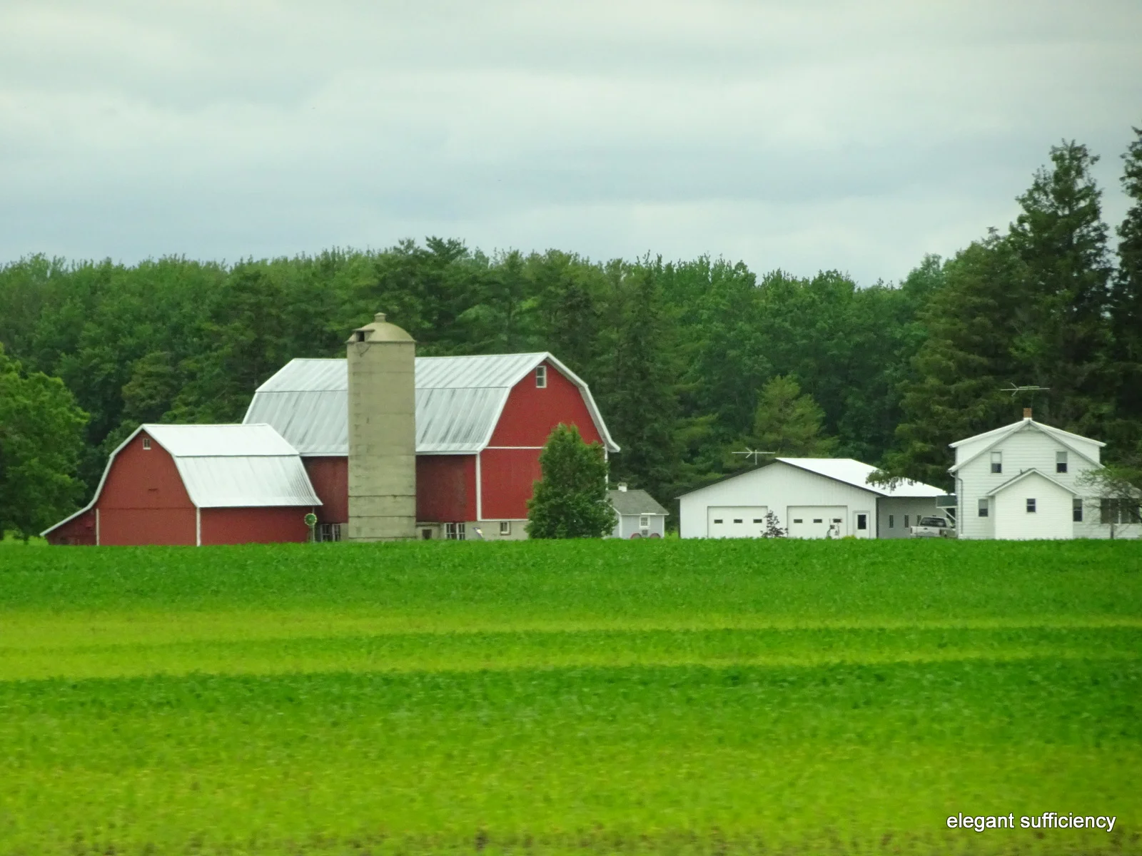 Into the Dairy State