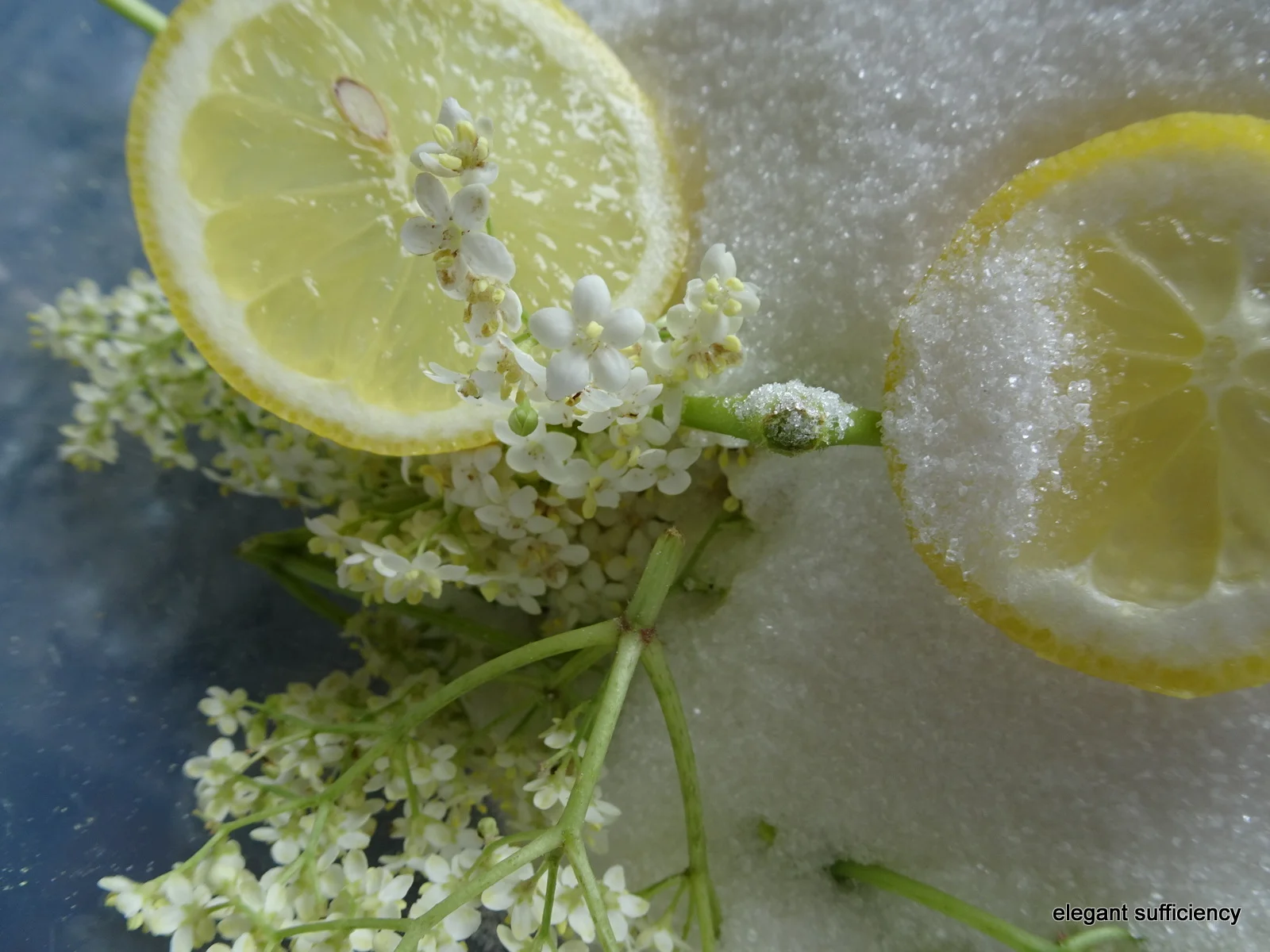 The scent of Summer