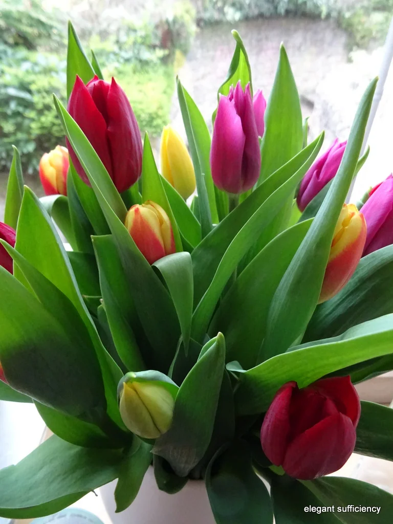 I never met a flapjack I didn&rsquo;t like