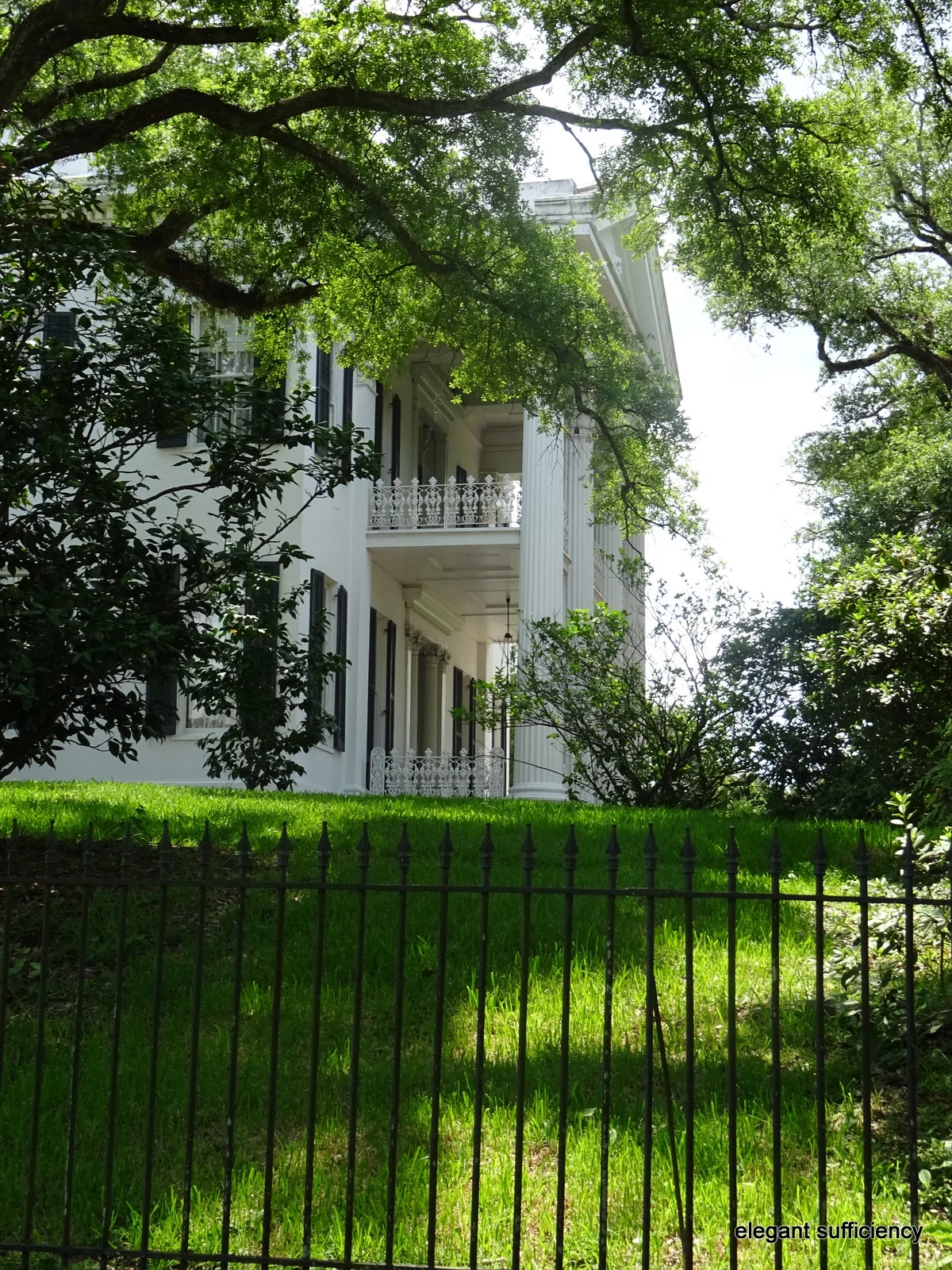Along the Natchez Parkway