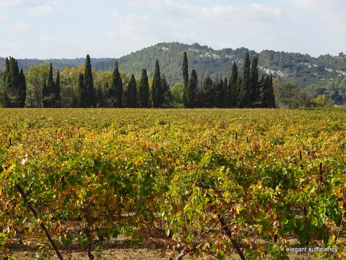 See the country, drink the wine