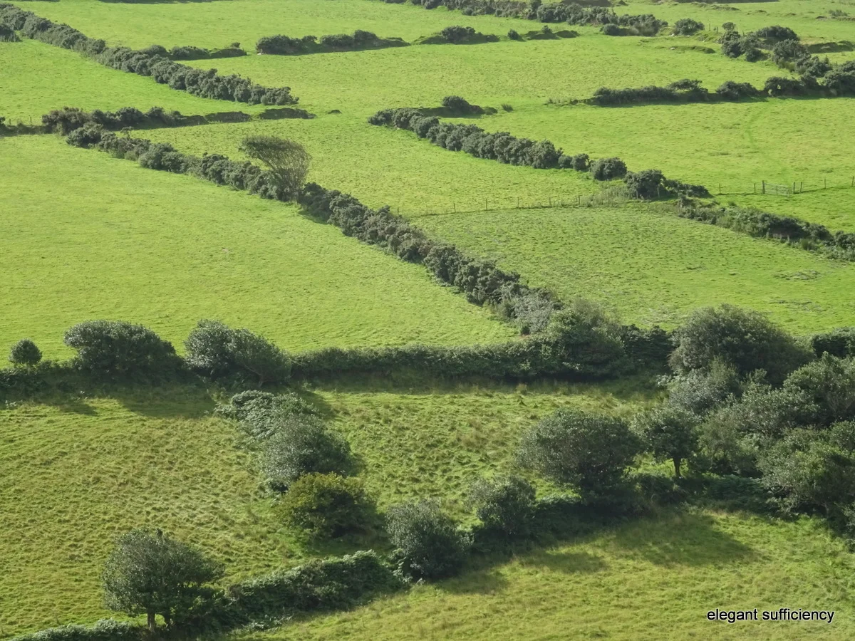 Driving around the Dingle