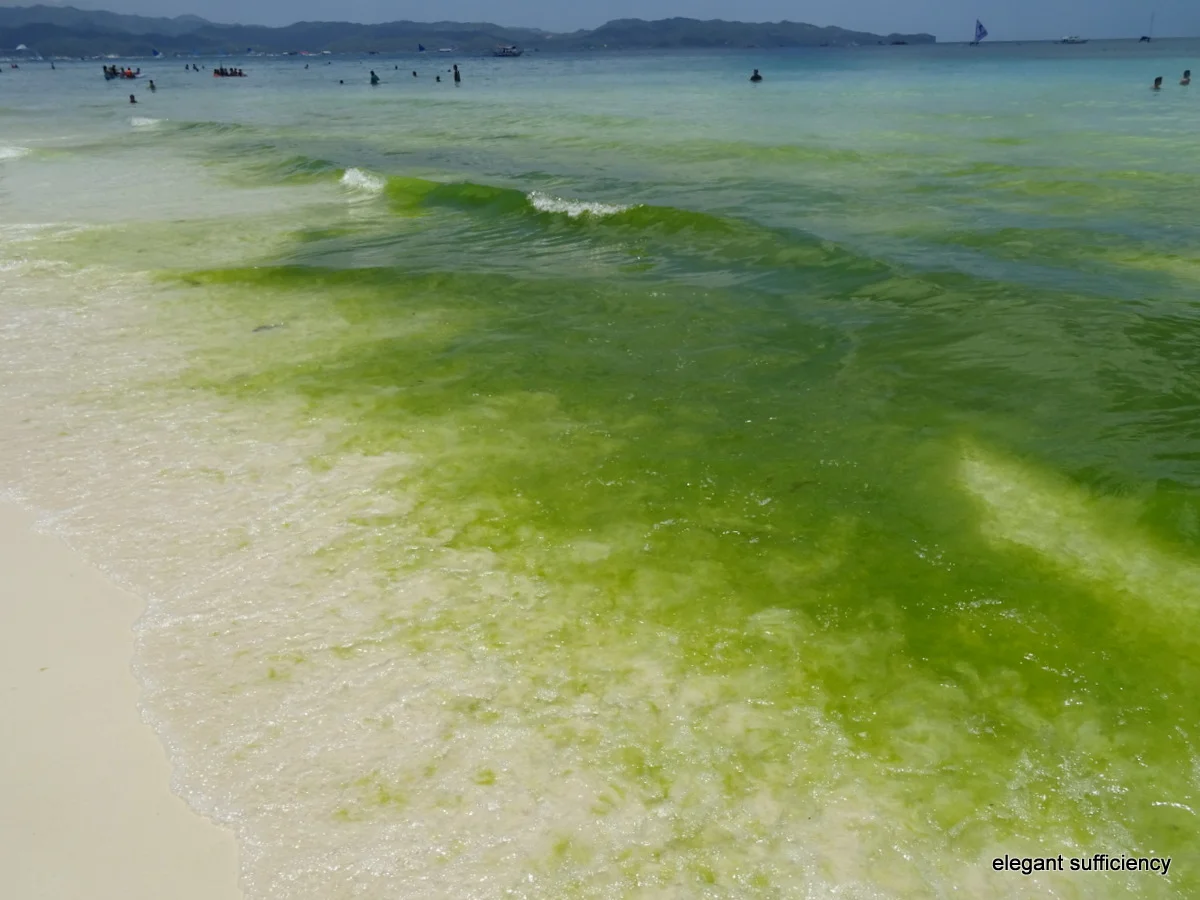 The World’s Best Beach