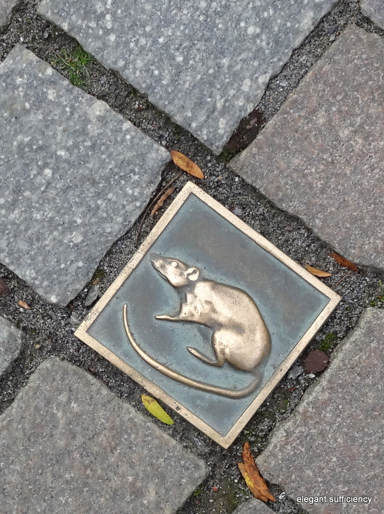 Rats!