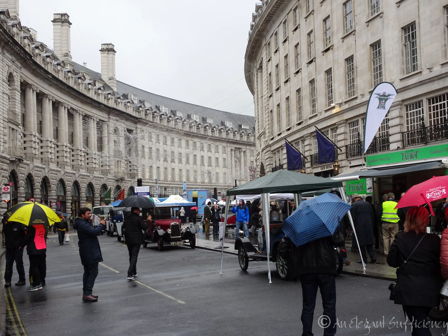 DSC01651.jpg
