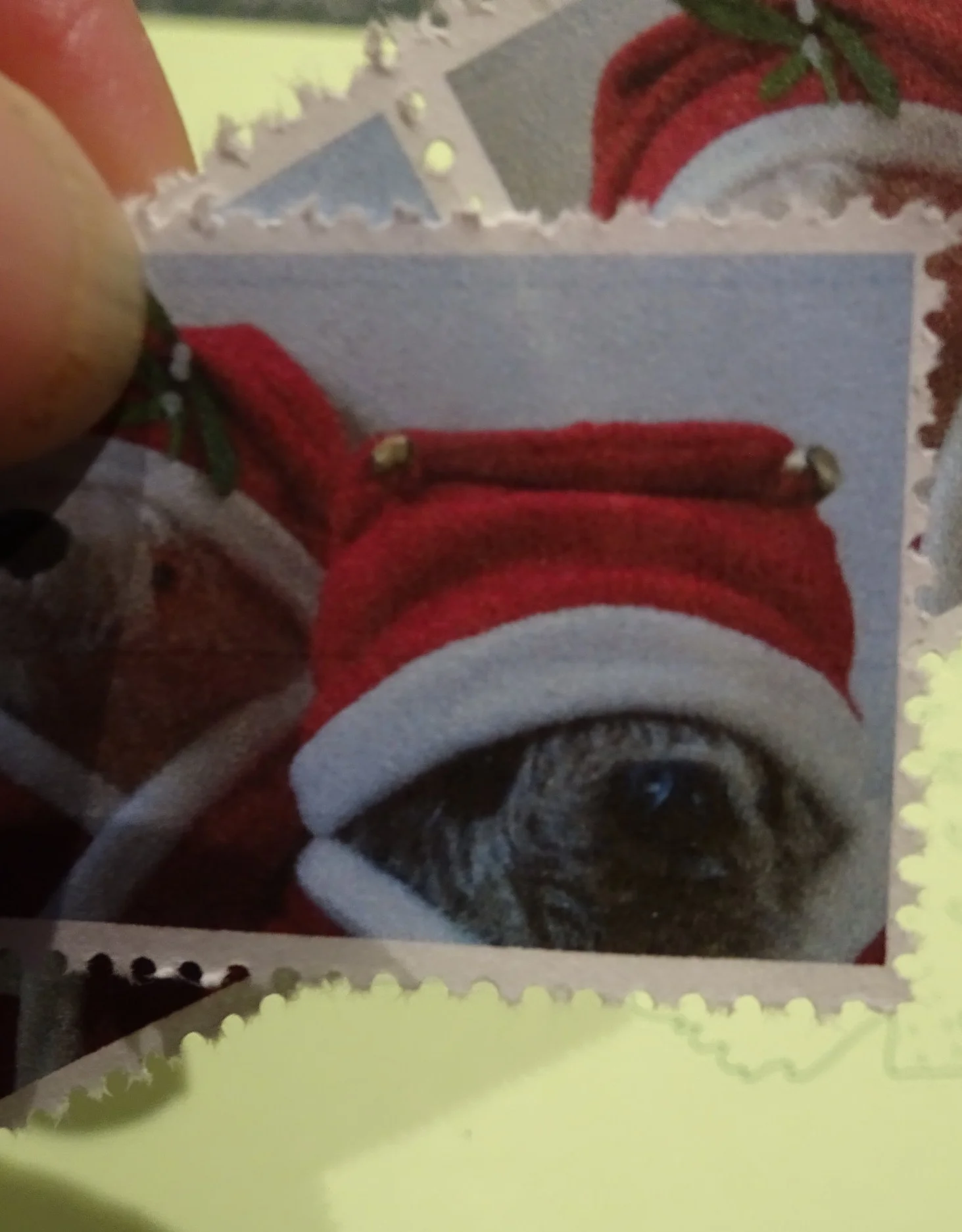 Seasons Greetings
