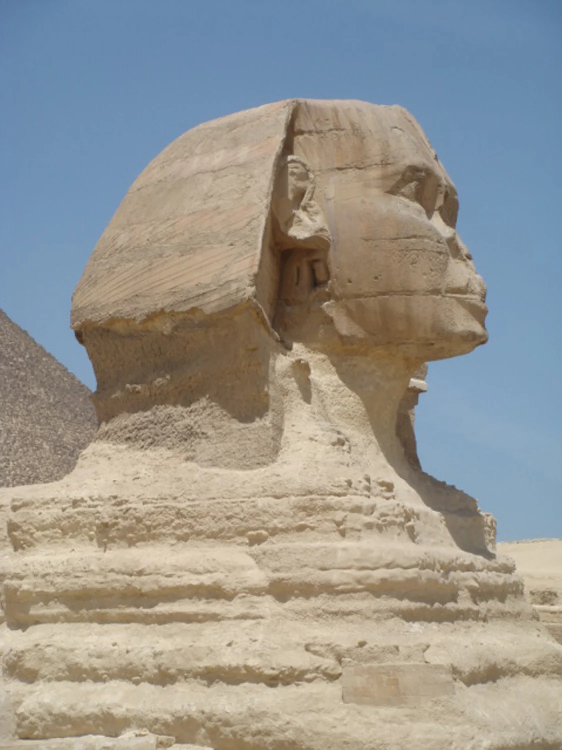 In Cairo